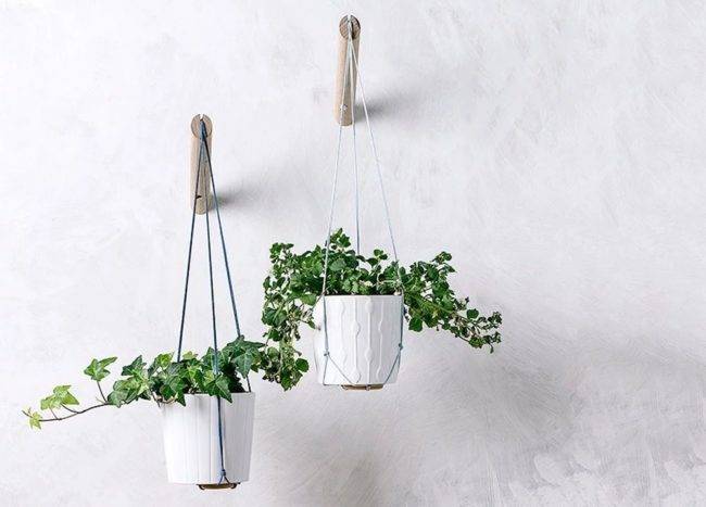 white macrame hanging planter