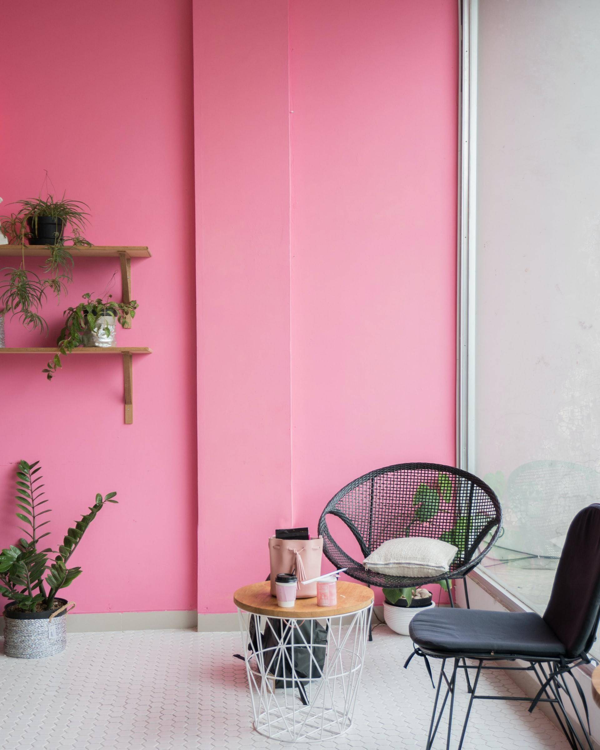 Bold pink accent wall