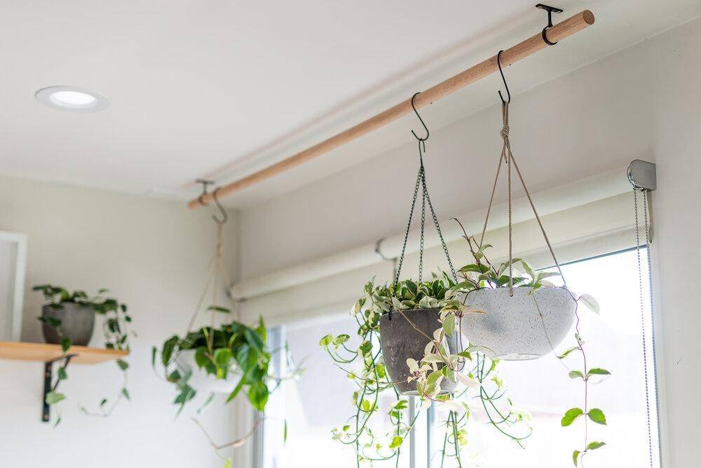 Planters hooked up along wooden dowel