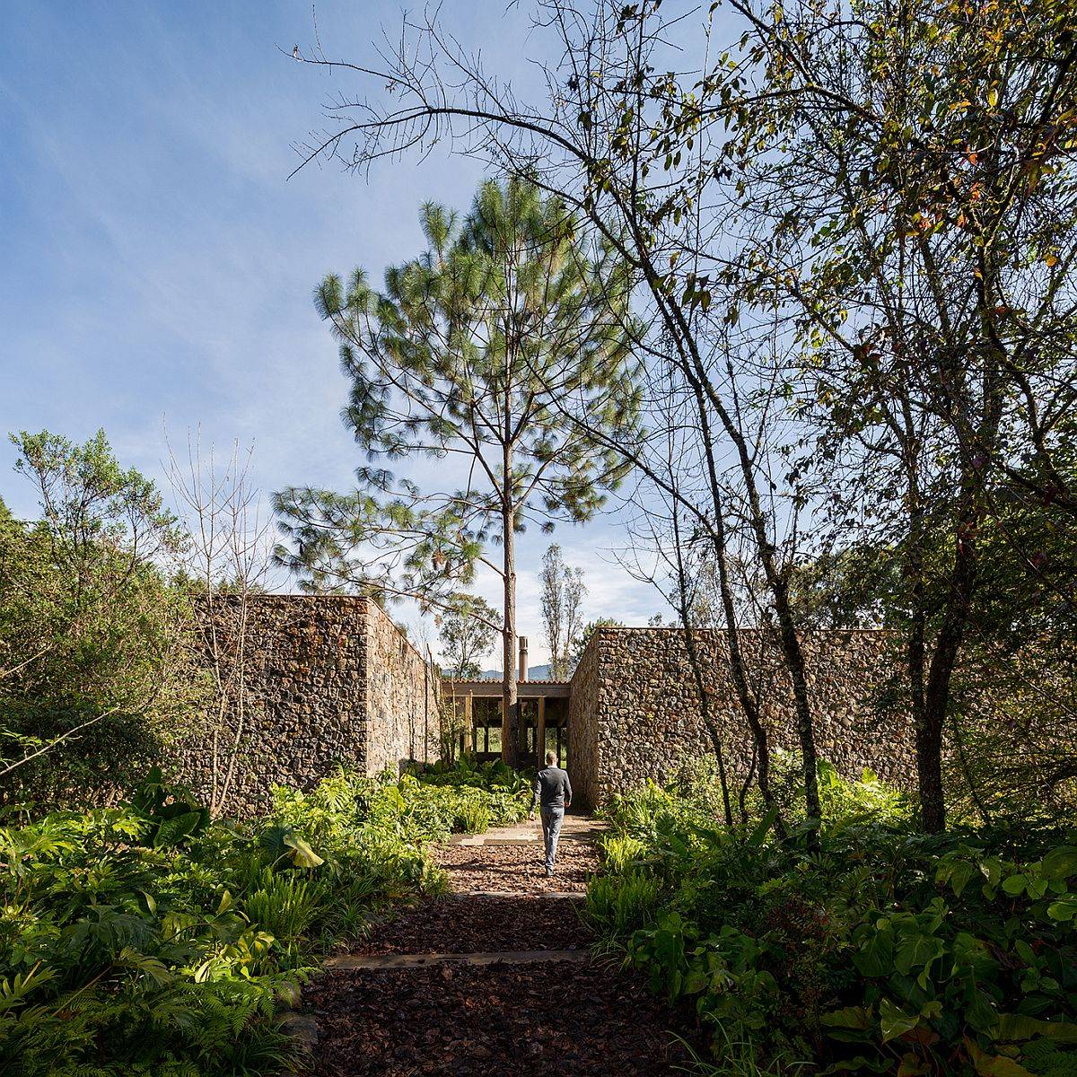 Lovely natural forest and stone wall-clad entryway leads to the lovely villa in Valle de Bravo