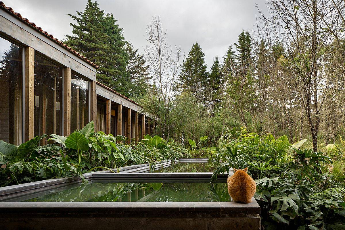 Reflective pools, Jacuzzi and natural forest around the mexican home make it a visual treat