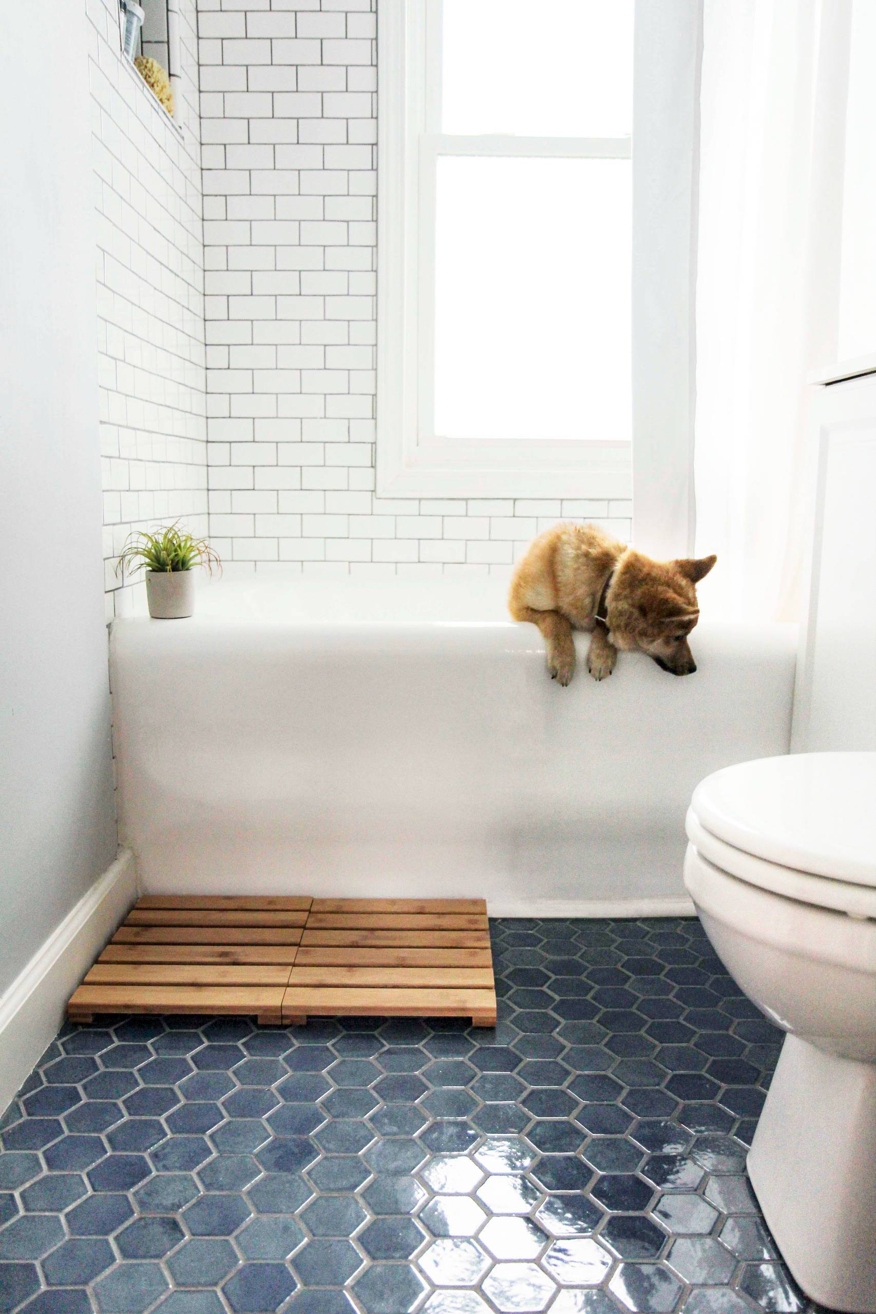 Subway tiles on the wall coupled with hexagonal floor tiles in the breezy modern bathroom