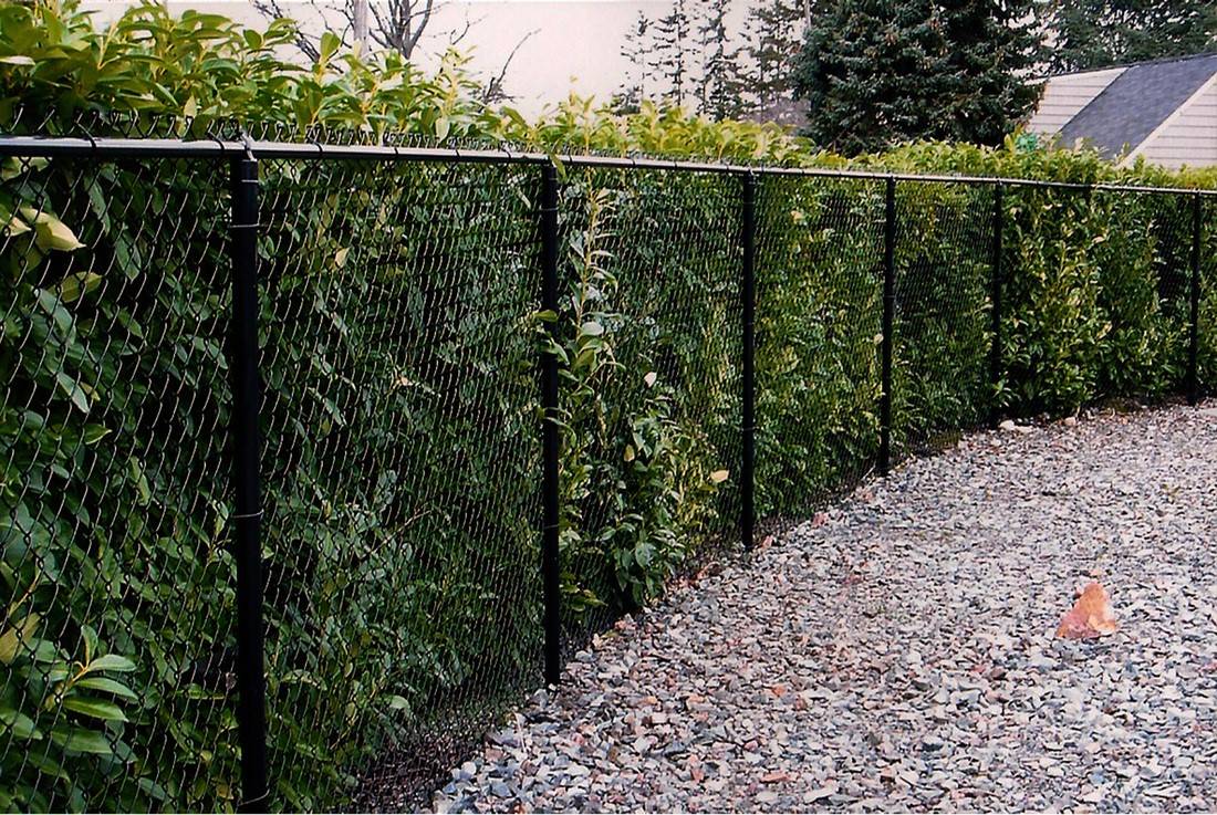 black chain link fence