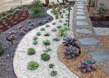 drought-resistant landscaped yard
