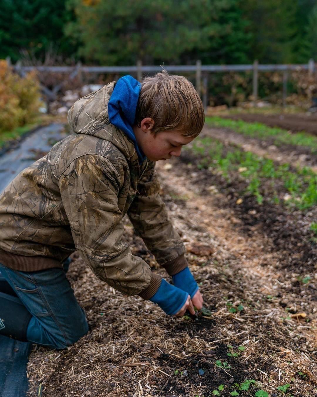 Preparing your garden for the next season