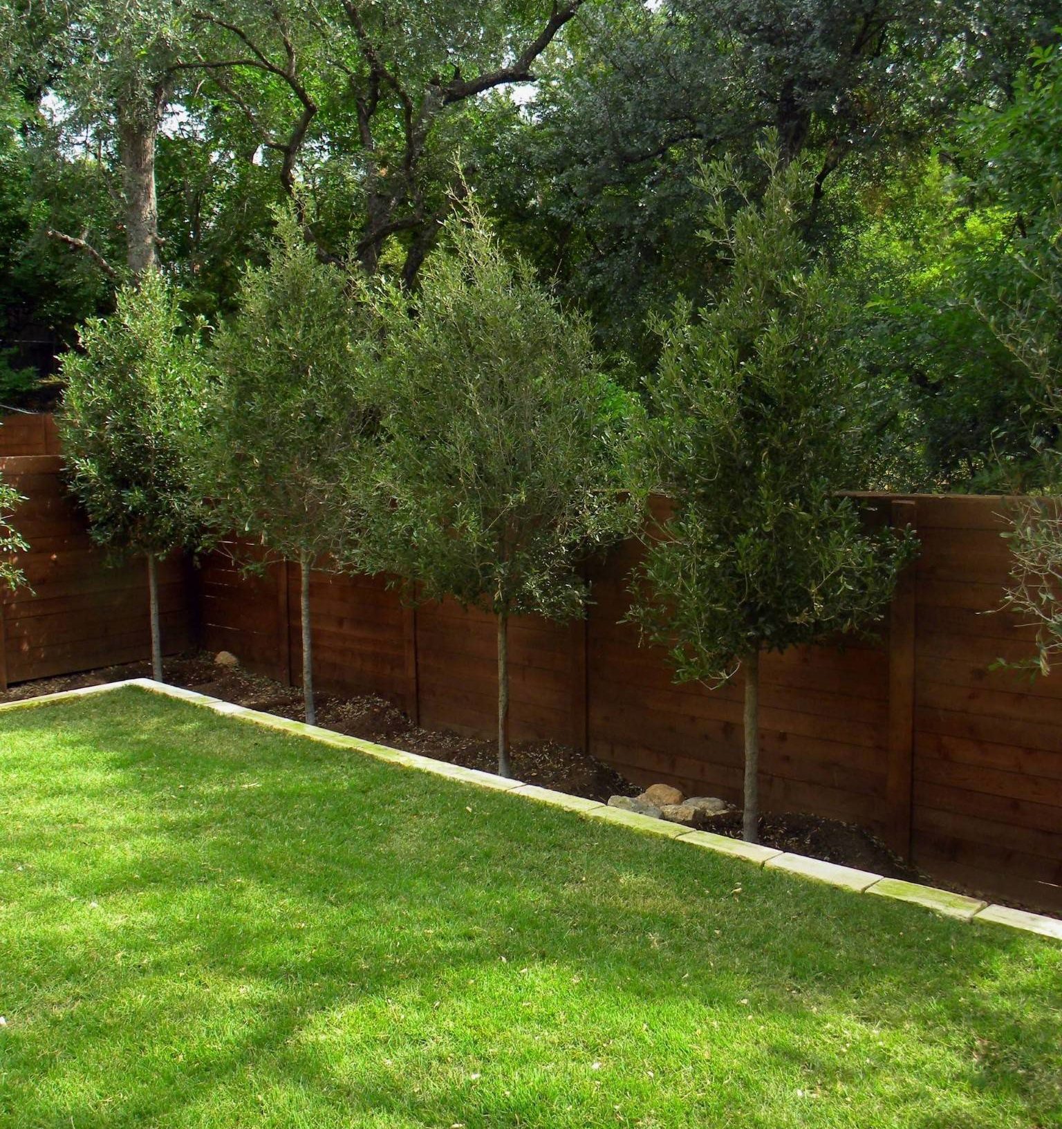 wooden fence in grassy backyard
