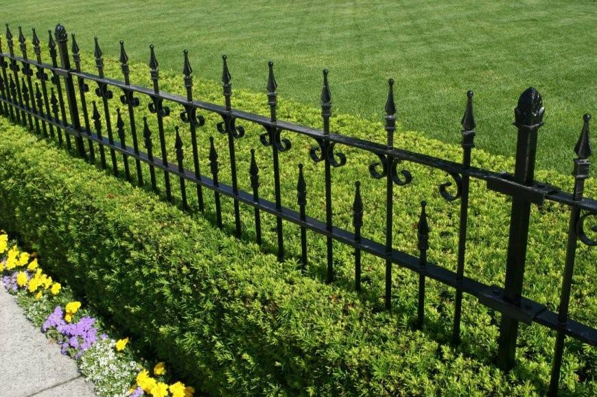 wrought iron fence with well trimmed hedges