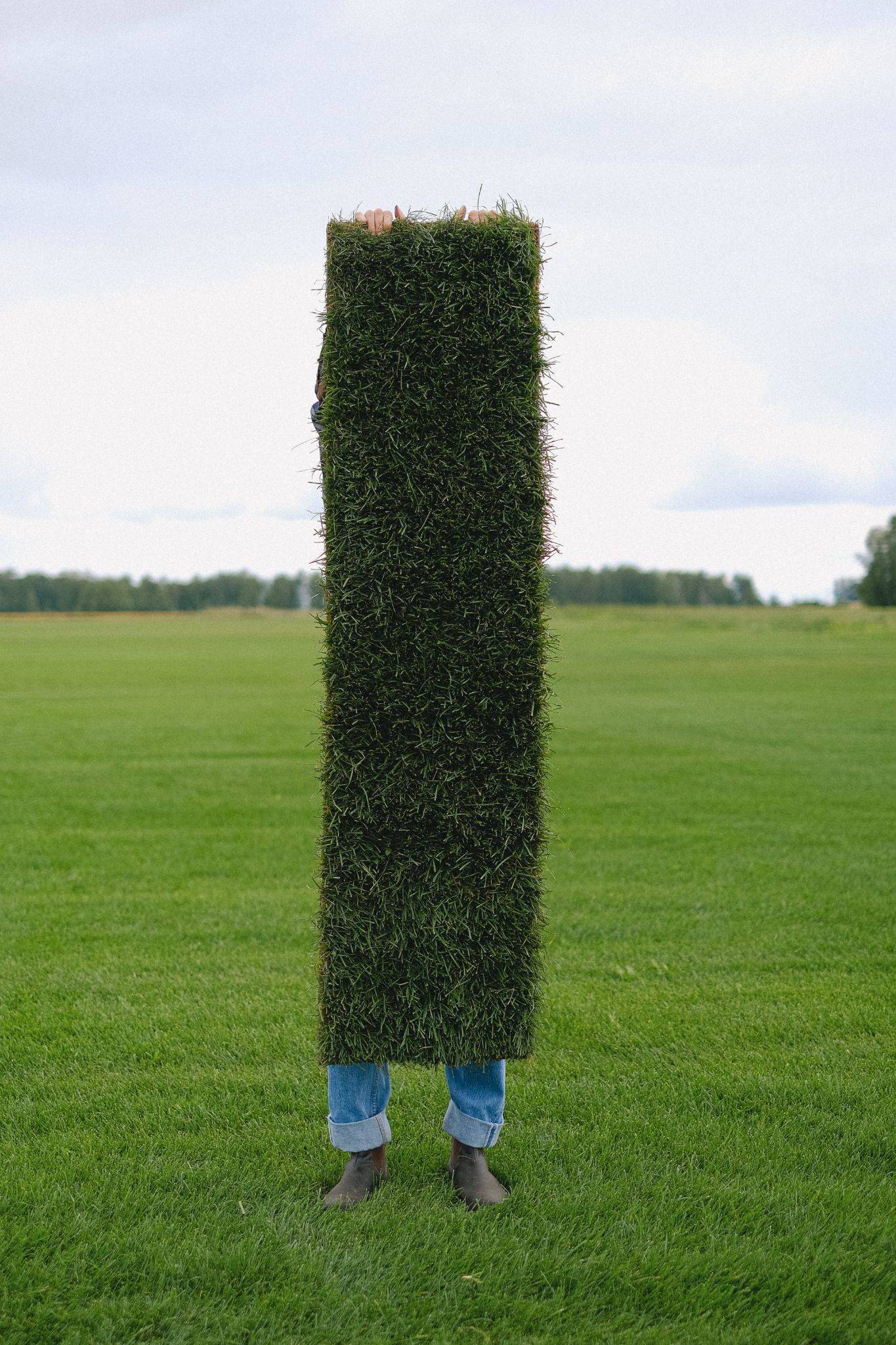 person standing in field holding strip of sod