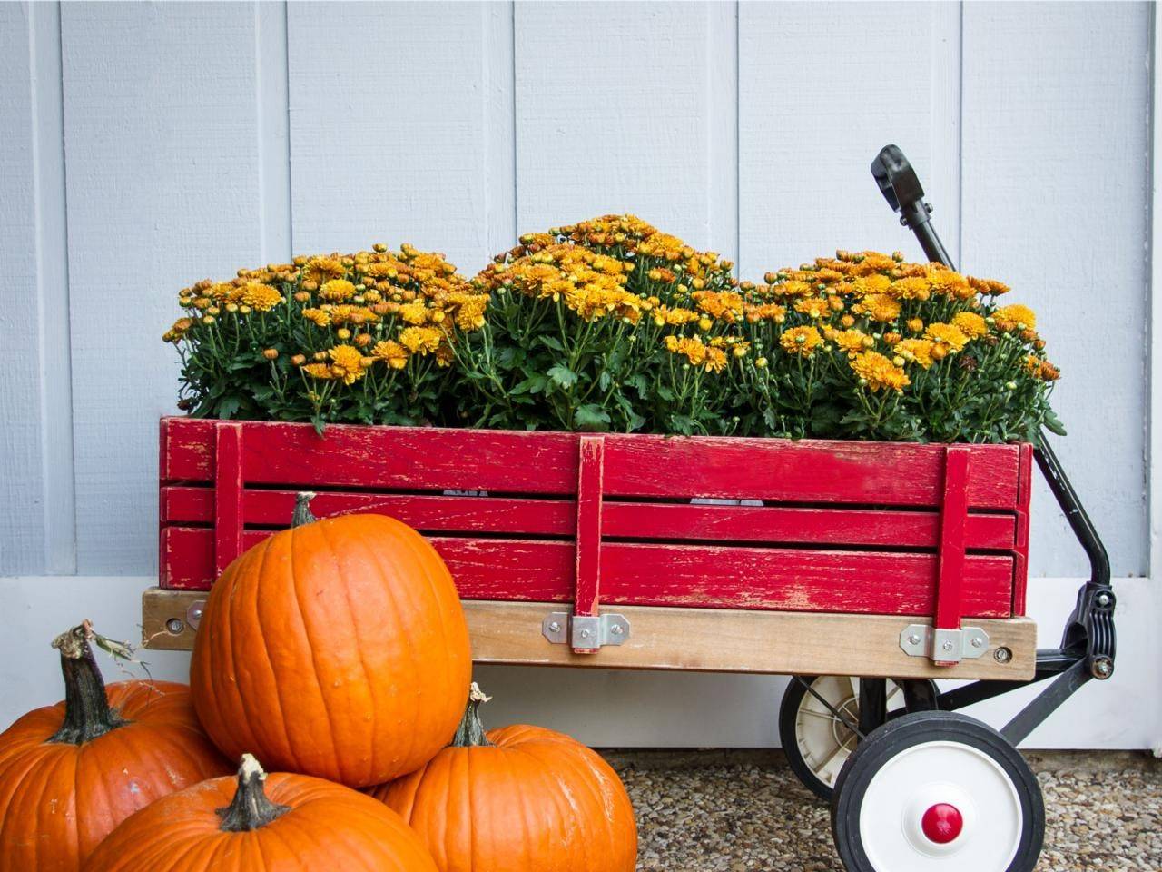 Dreamy Porch Setups for Fall