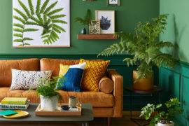 10 Elements Of The Organic Modern Decor Style