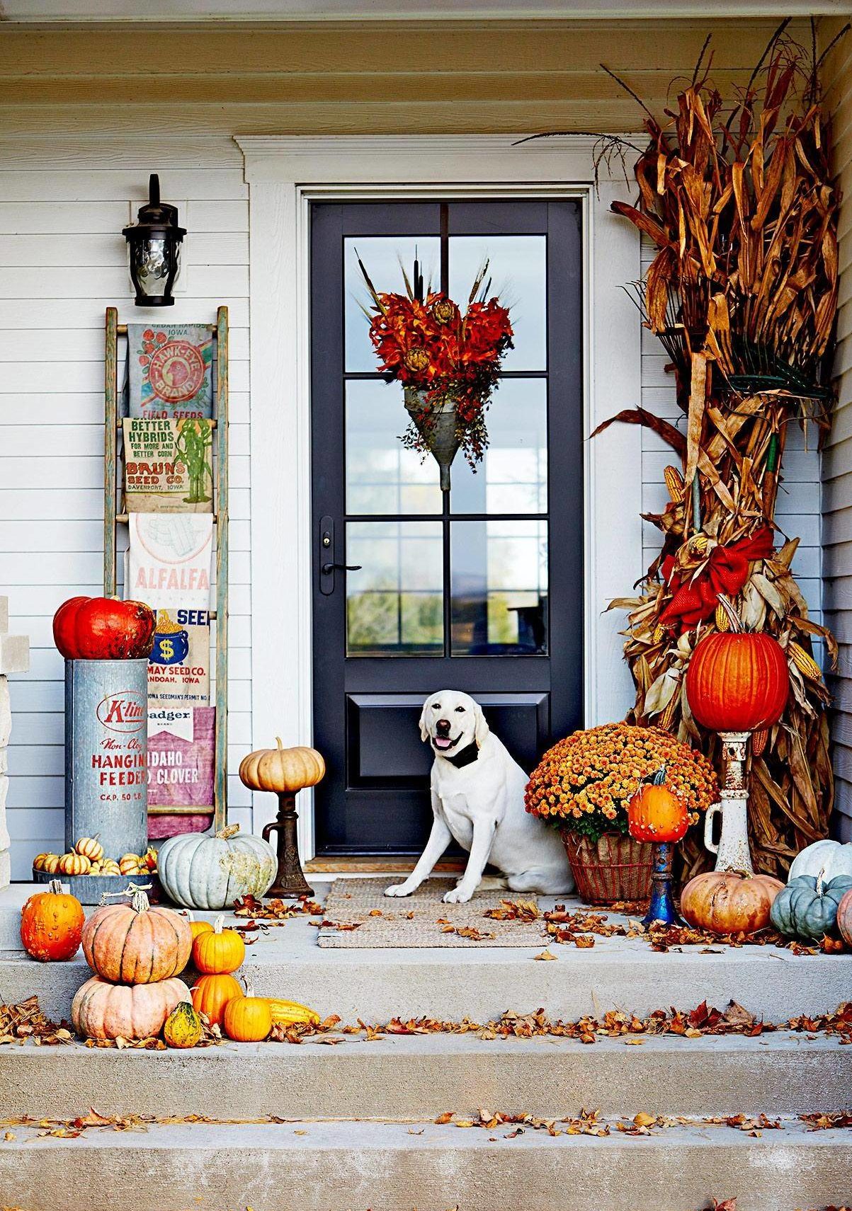 Dreamy Porch Setups for Fall