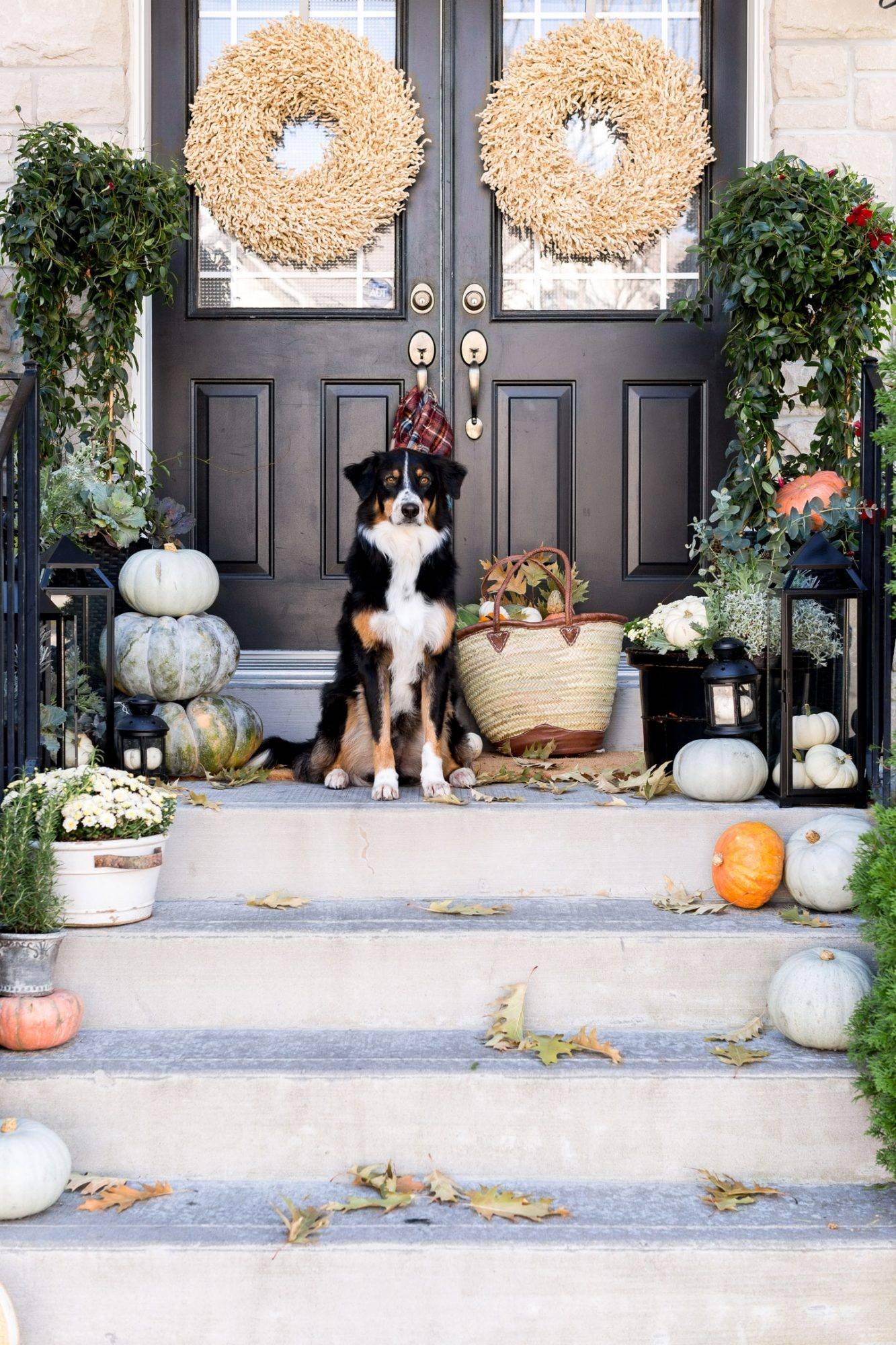 Dreamy Porch Setups for Fall