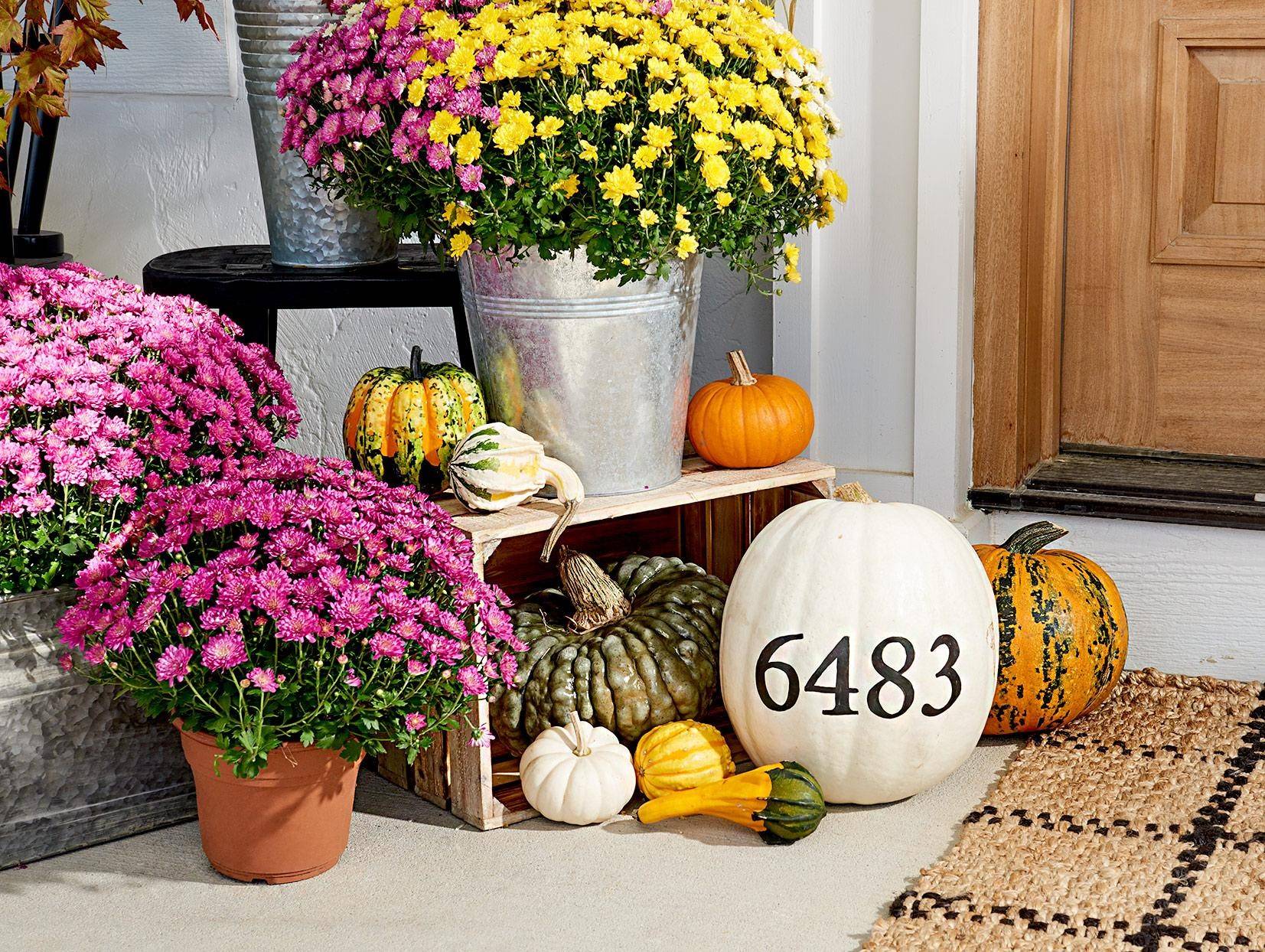 Dreamy Porch Setups for Fall