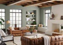 Evergreen-Fog-in-the-living-room-makes-for-a-stylish-and-elegant-hue-20086-217x155