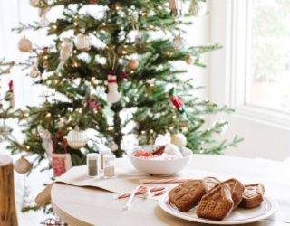 Taking Care of Your Christmas Tree and Keeping it Fresh Longer: Tips and Ideas