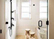 Series-of-skylights-and-newly-added-windows-bring-light-into-this-small-beach-style-bathroom-31118-217x155