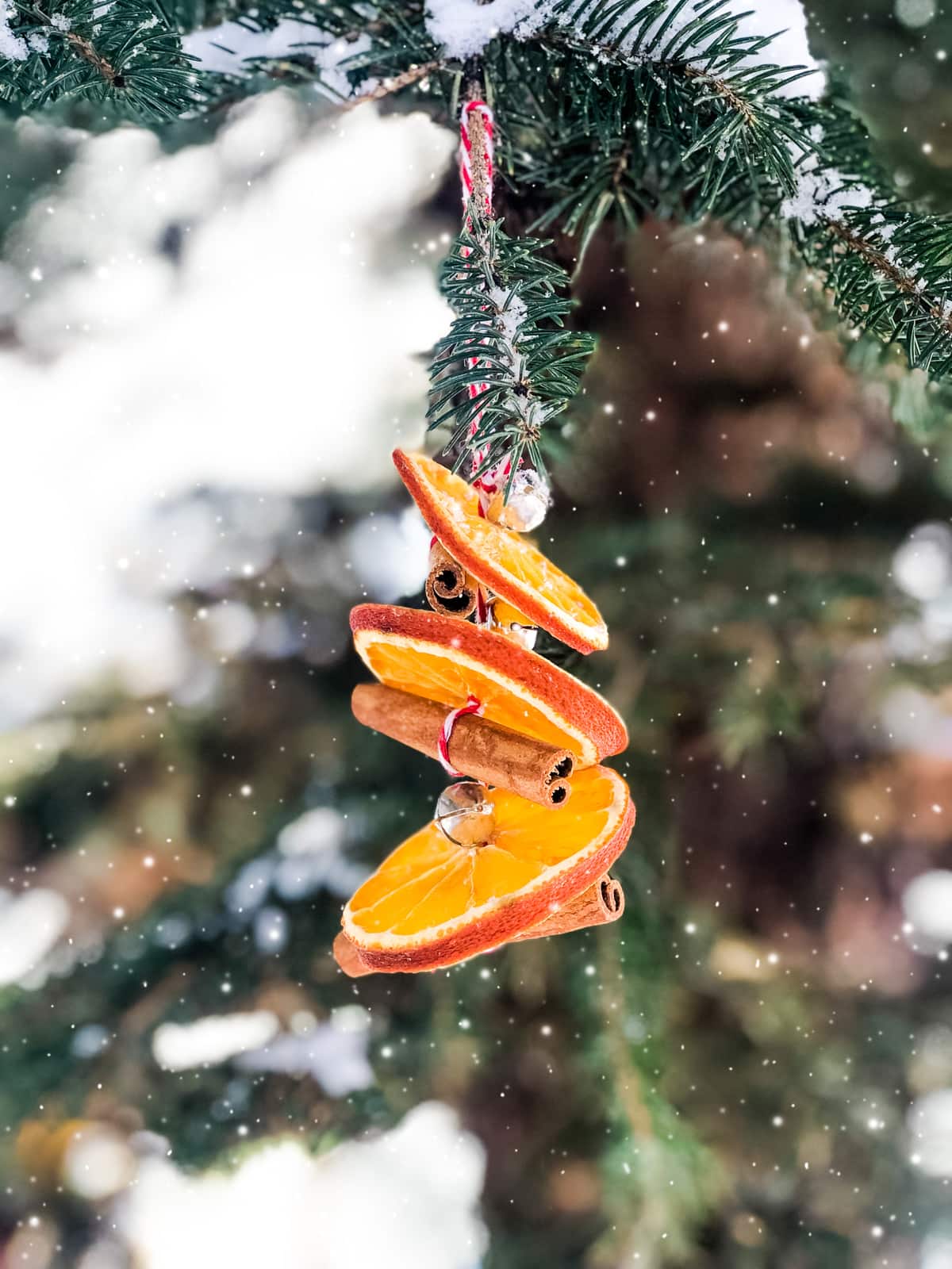 Christmas tree ornament made of orange slices (from A Pretty Life In The Suburbs)