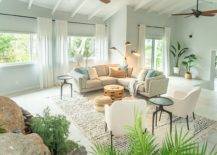 Delightful-use-of-light-green-in-the-relaxing-beach-style-living-room-32303-217x155