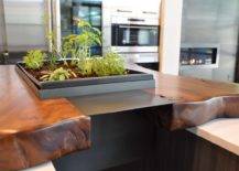 Ingenious-kitchen-isalnd-incorporates-greenery-into-its-design-35672-217x155