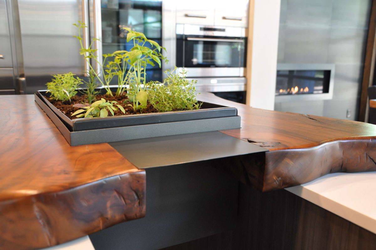 Ingenious-kitchen-isalnd-incorporates-greenery-into-its-design-35672