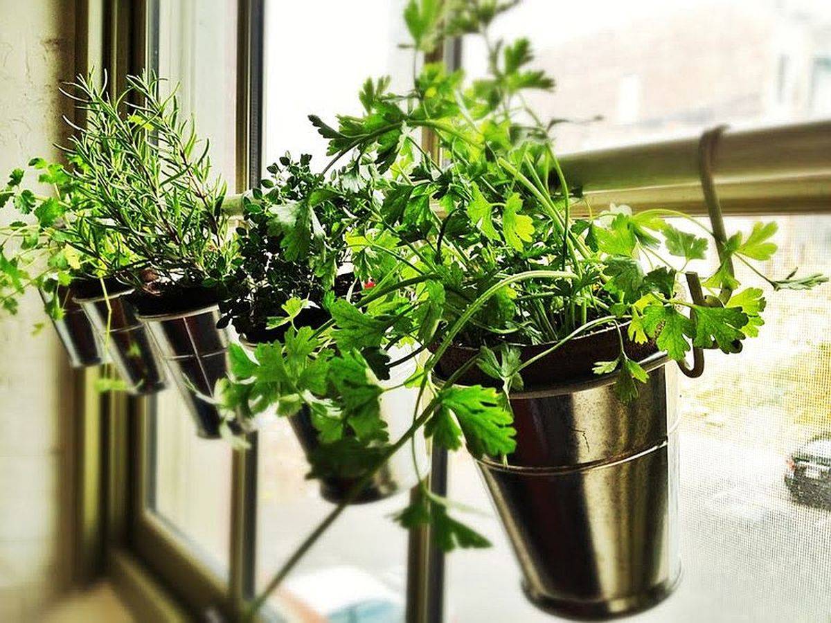 Use small planters and the window to add greenery to the kitchen