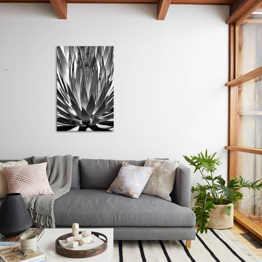 Oversized agave print for minimalist wall decor from All Posters