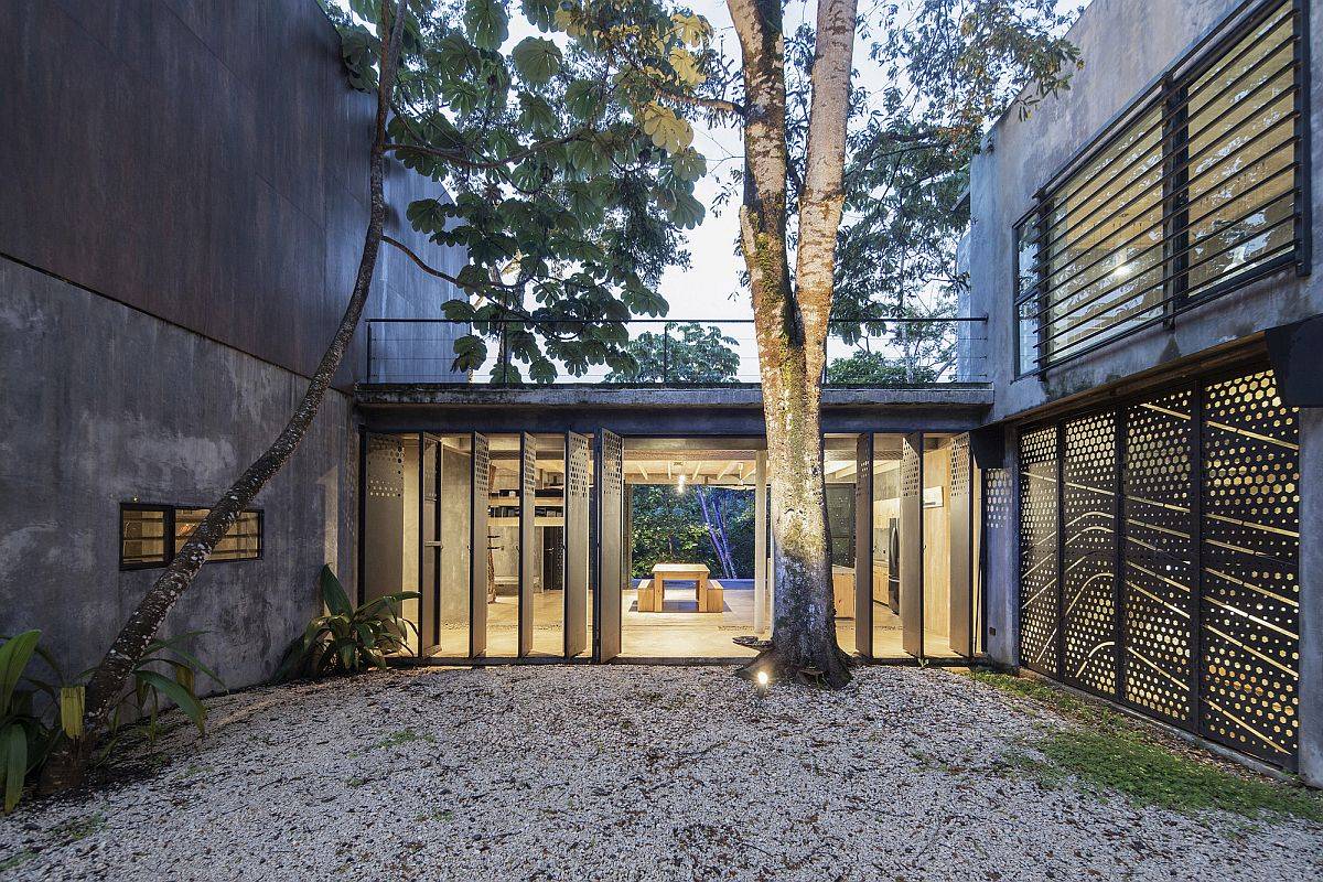 Central courtyard of the house perseves existing tree without feeling out of place