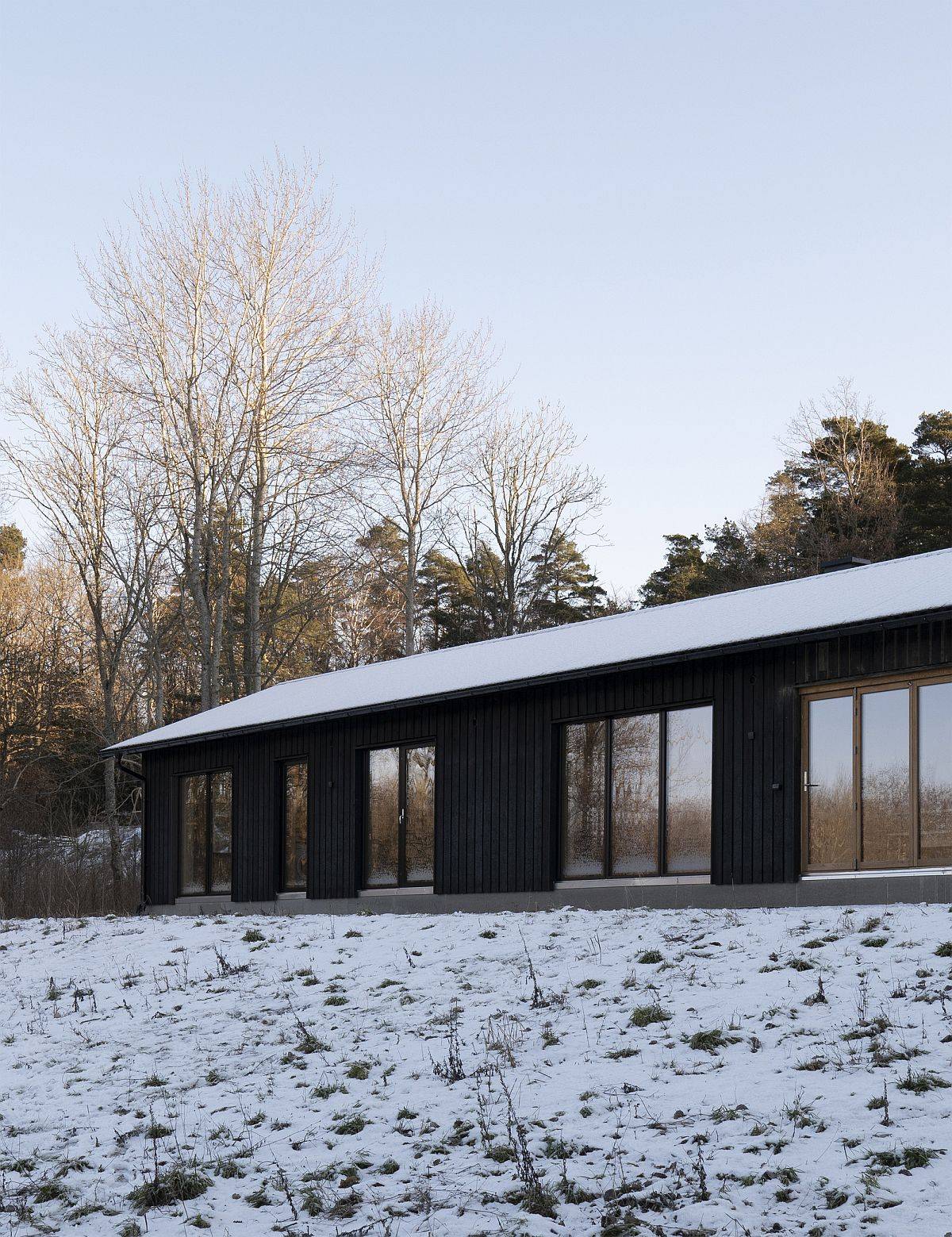 Modern single-family residence with a black wooden exterior