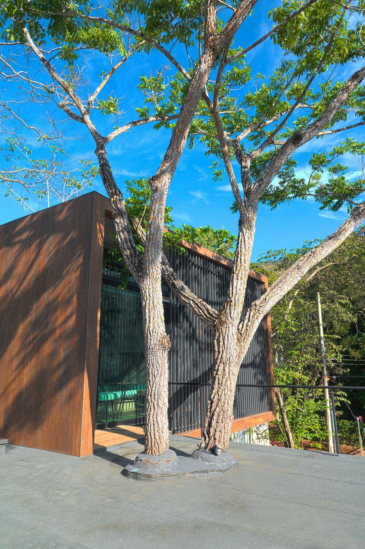 Sustainable design of the home offers scope for greenery to co-exist with building structure