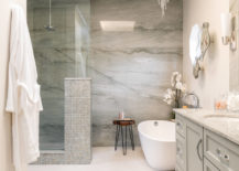 ethereal-master-bathroom-remodel-dona-rosene-interiors-img_5d11d7dc0afb5604_14-5901-1-498b27c-83900-217x155
