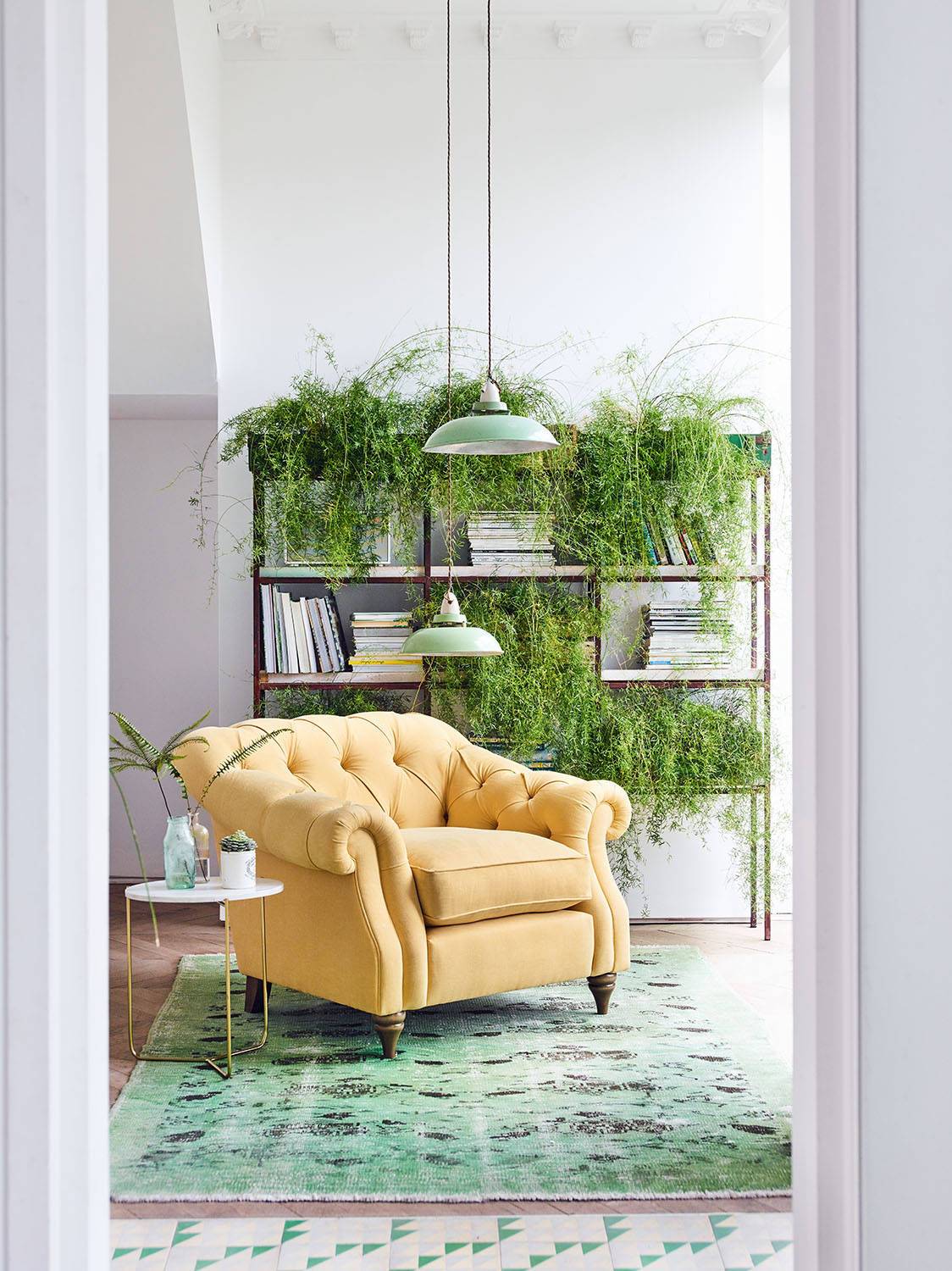 If your window is south facing and there are no obstructions, it can be considered direct light. (from Houzz)