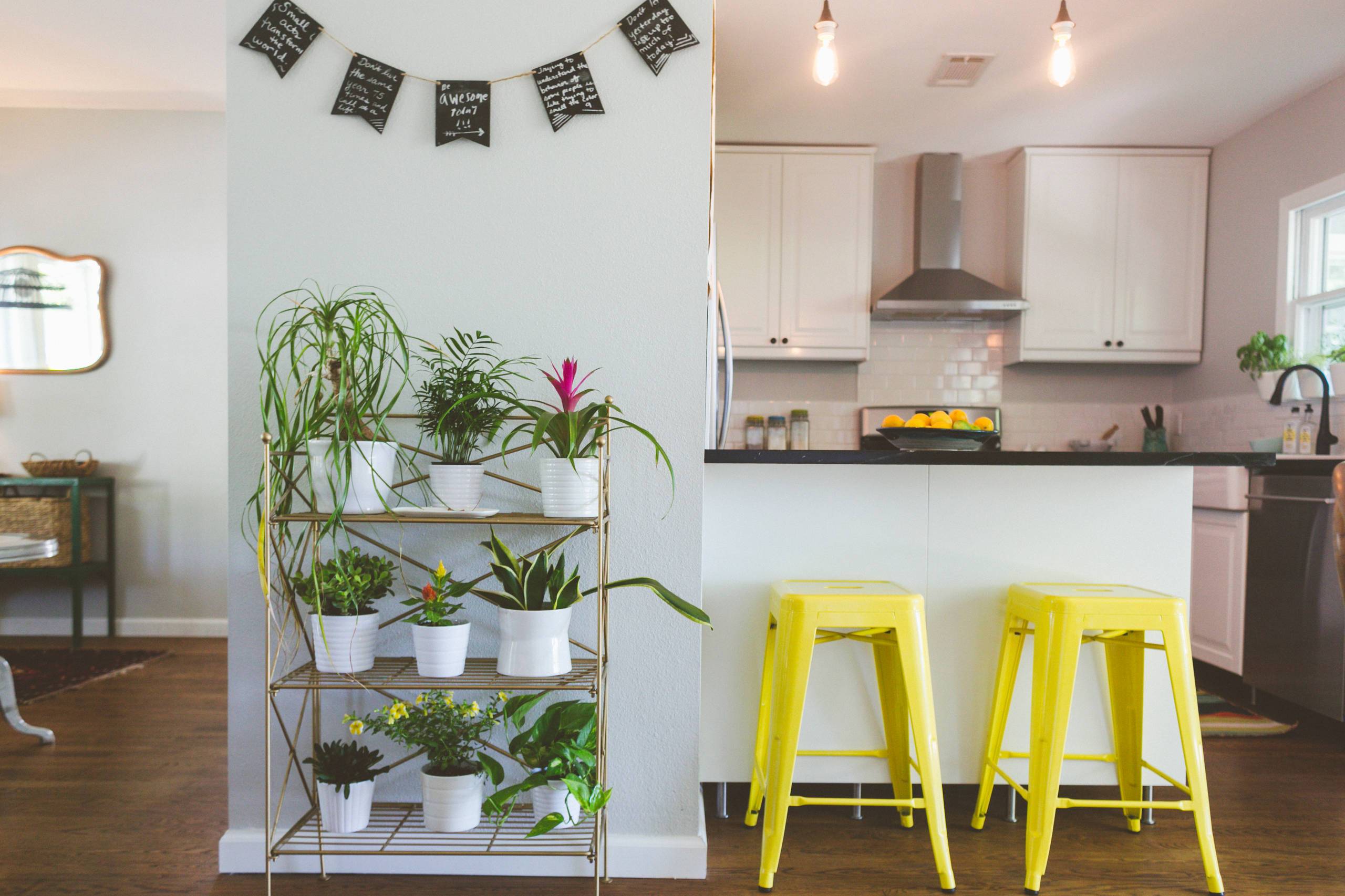 Sunlight will alter the way colors look in the space (from Houzz)