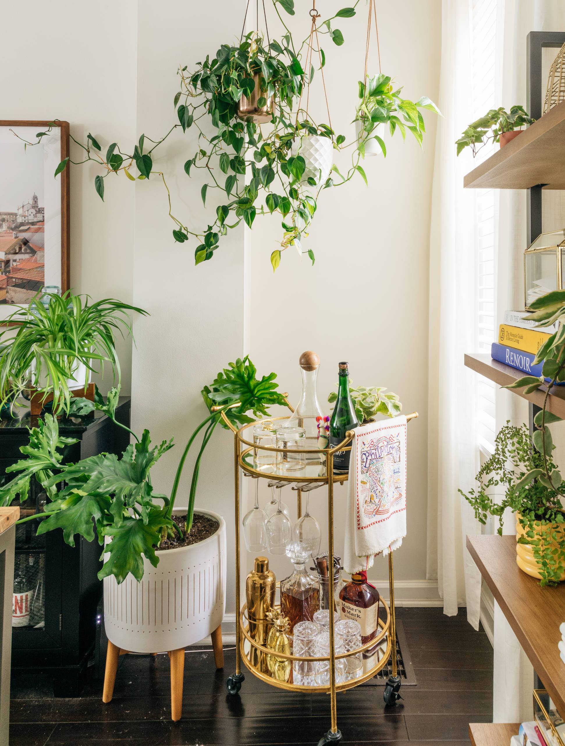 my-houzz-houseplant-happy-home-in-philadelphia-hado-photo-img_4cf18c810d0d0691_14-4746-1-4825d76-89463