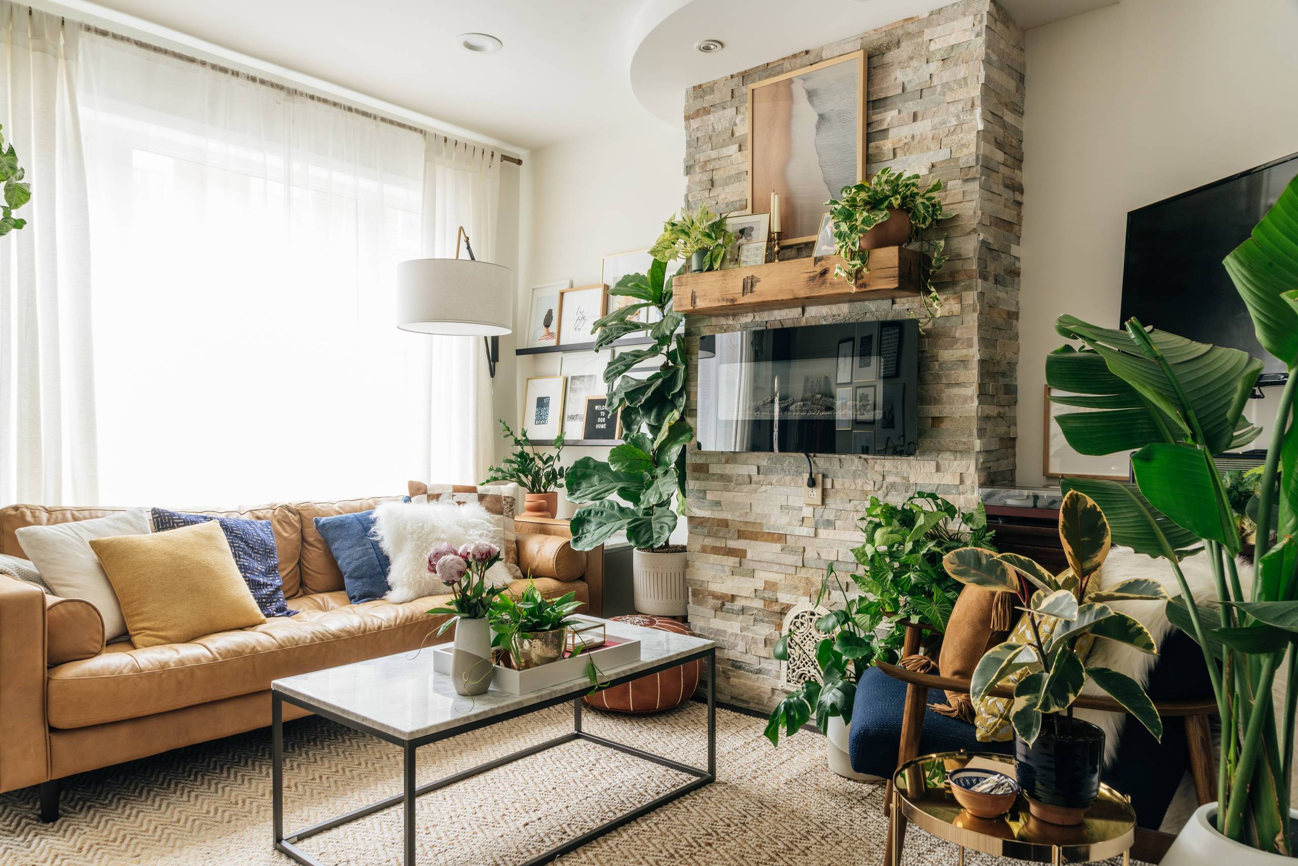 my-houzz-houseplant-happy-home-in-philadelphia-hado-photo-img_502193160d0d069e_14-4759-1-d24607d-67726