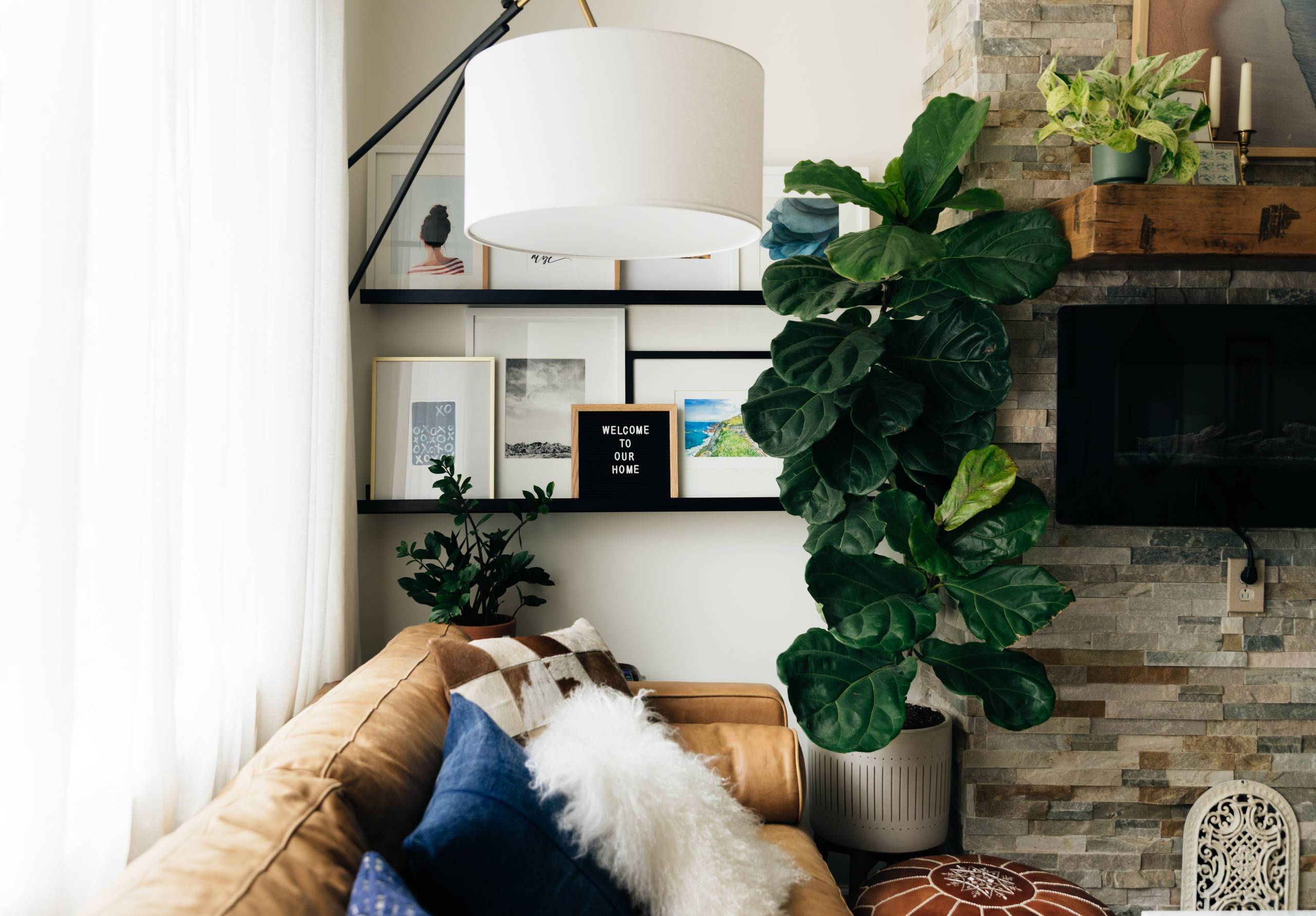 East-facing windows can be pretty bright but also tend to be hotter (from Houzz)