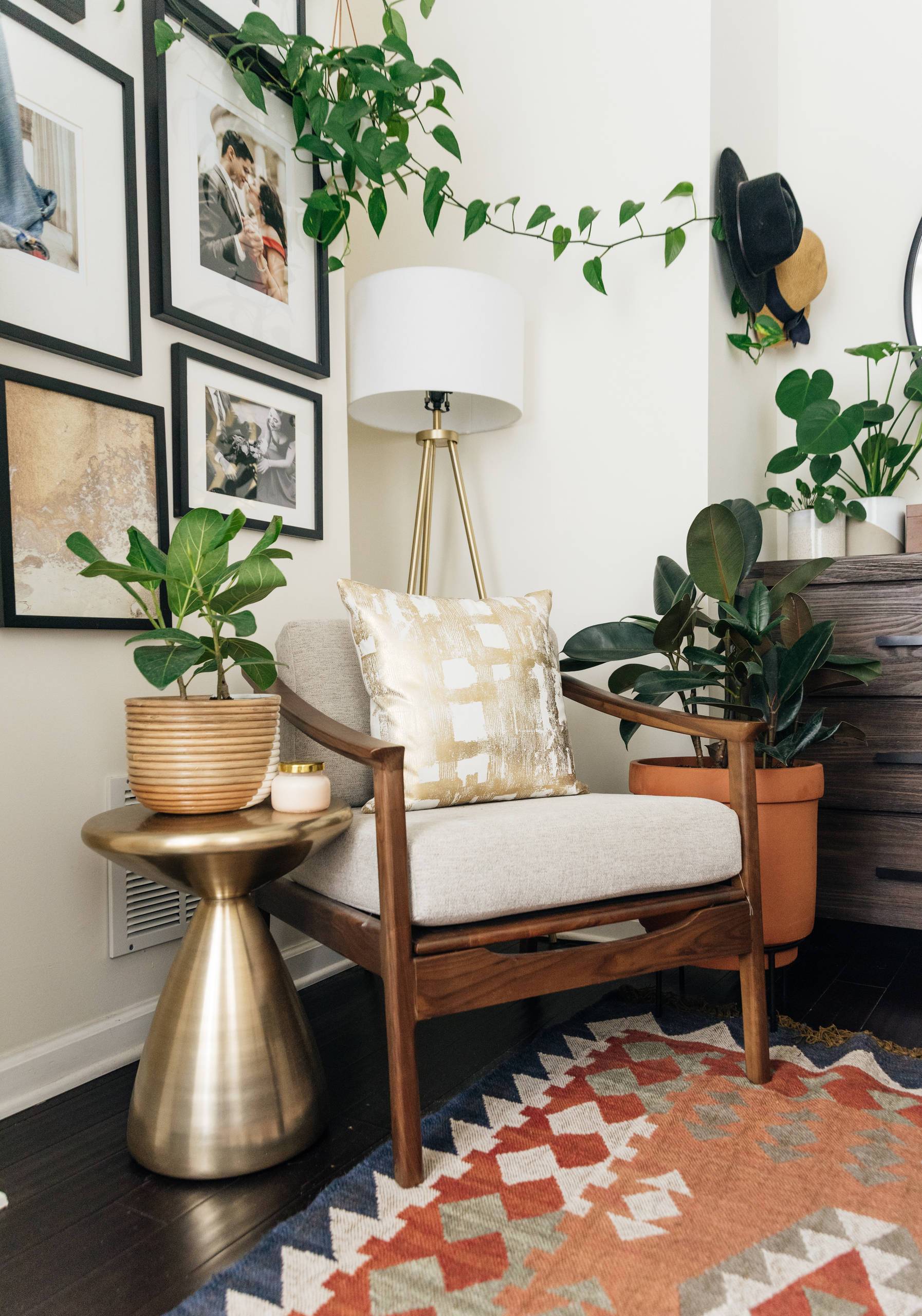 When deciding where to place your plants, you should be guided by their needs (from Houzz)