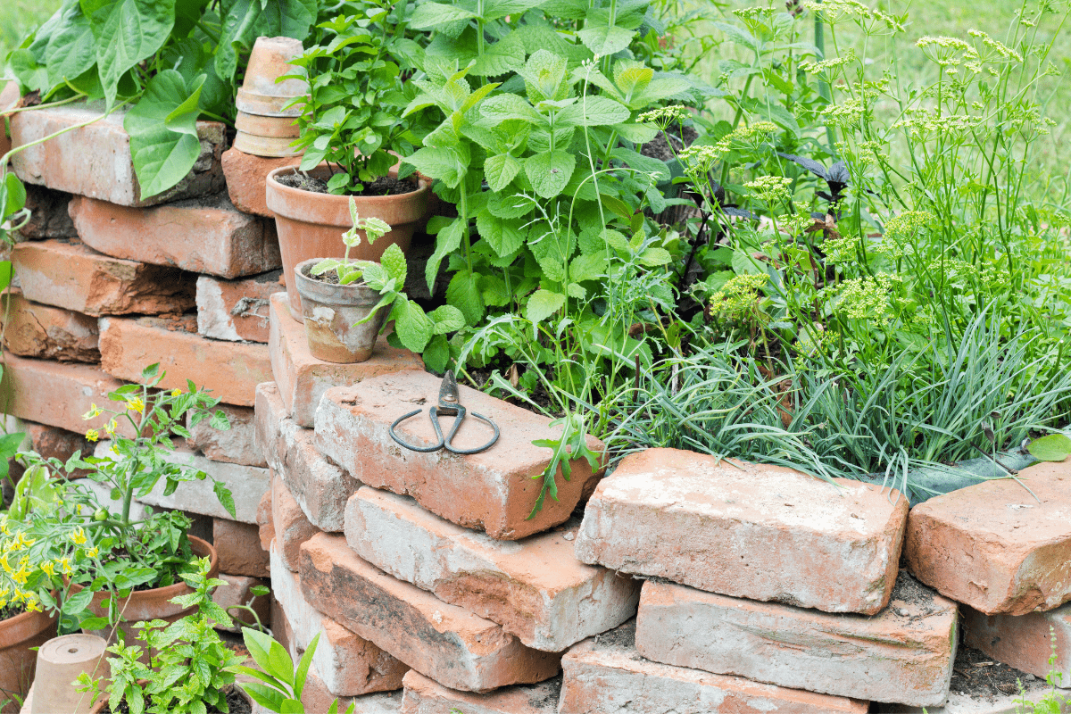 brick raised garden bed edge close up scissors