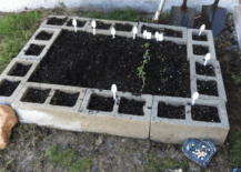 cement block raised garden bed cinder top soil