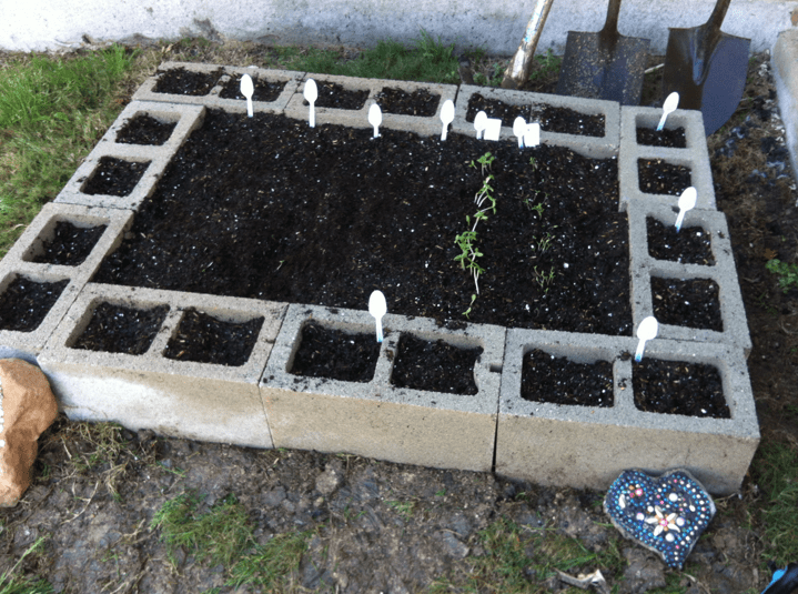 cement block raised garden bed cinder top soil
