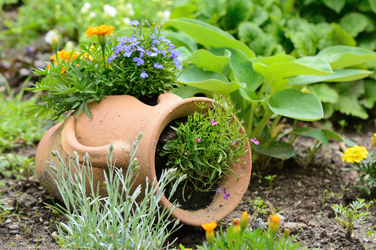 clay pot tipped over in garden full of flowers