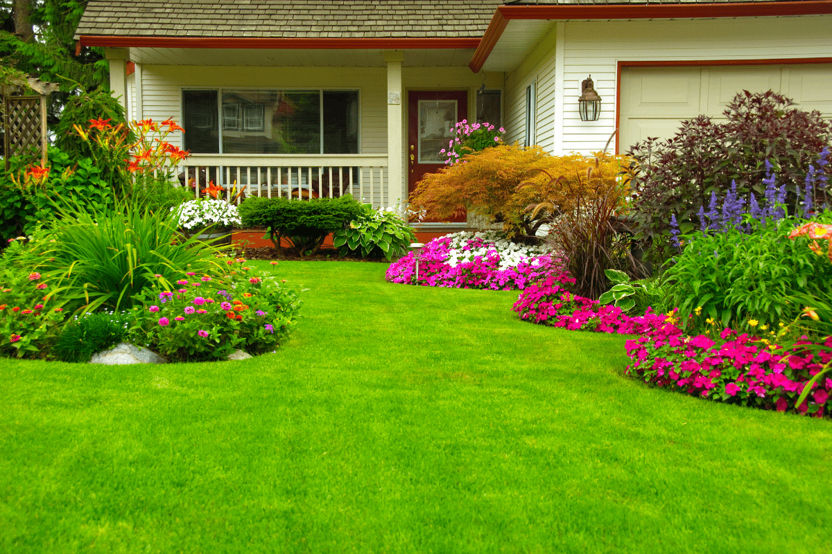 front of cream color sided house flowers gardens plants red trim green grass