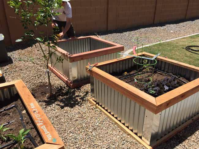 corrugated metal raised garden bed