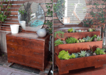side by side dresser photo garden bed drawers closed open with succulents in them mirror