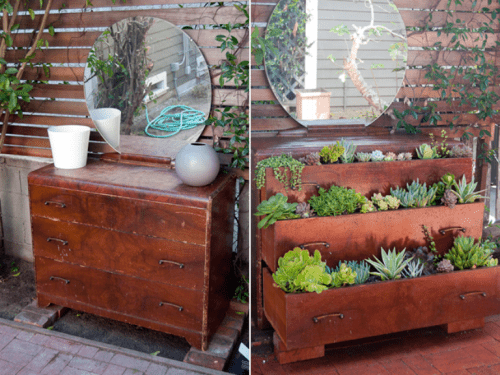 side by side dresser photo garden bed drawers closed open with succulents in them mirror