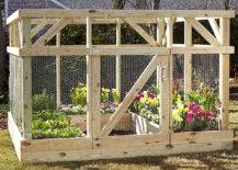 raised garden bed with enclosure chicken wire
