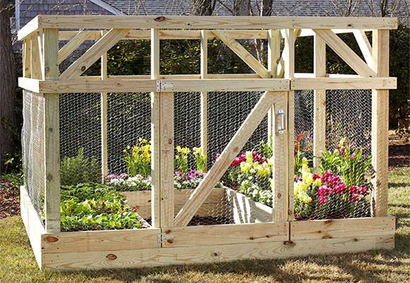 raised garden bed with enclosure chicken wire