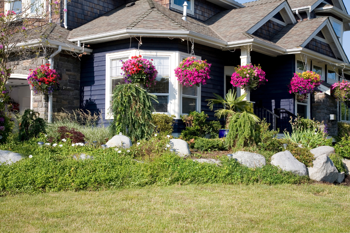 hanging potted plants geraniums on front of house