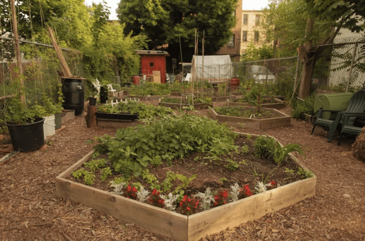 hexagon raised garden bed on mulch