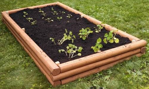 landscaping timbers raised garden bed on grass fresh soil few plants