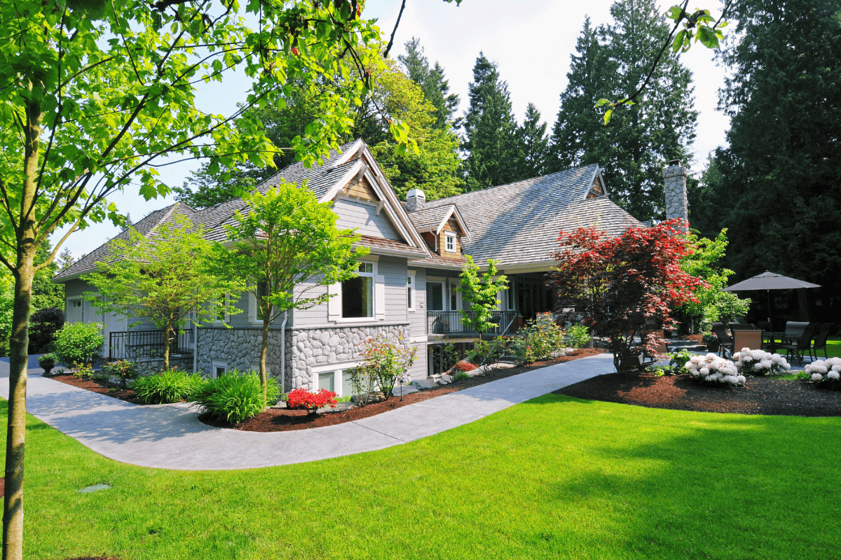 front of house on grass large yard modern landscaping cement pathway sidewalk trees